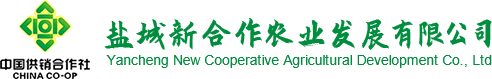 查询官方开奖记录计划